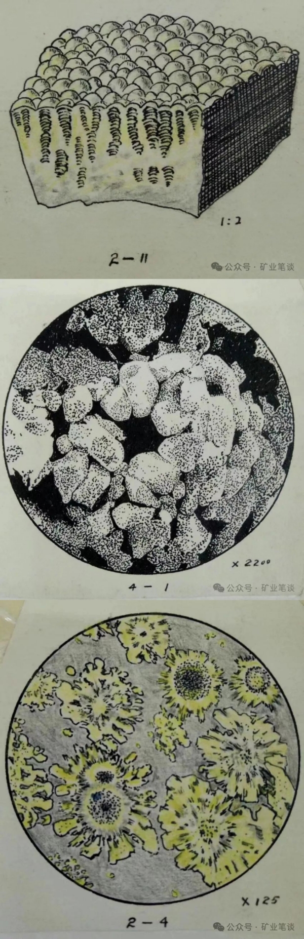640 (3)_副本.jpg